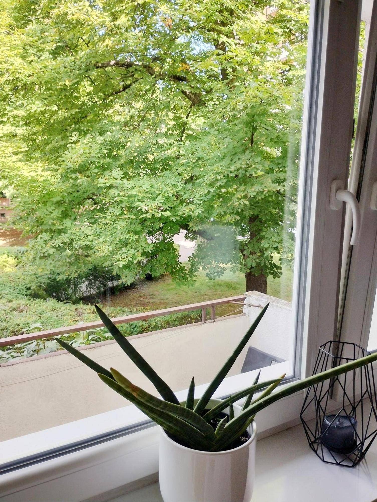 Przytulne Mieszkanko Mokotow ワルシャワ エクステリア 写真